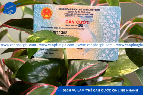 Dịch vụ làm căn cước online 